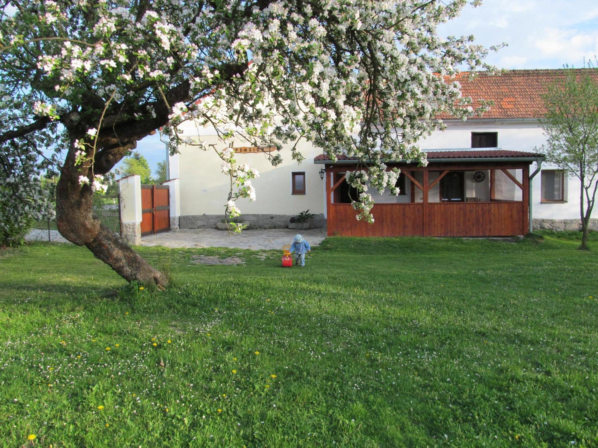 Pension Otevek Trhové Sviny Dış mekan fotoğraf
